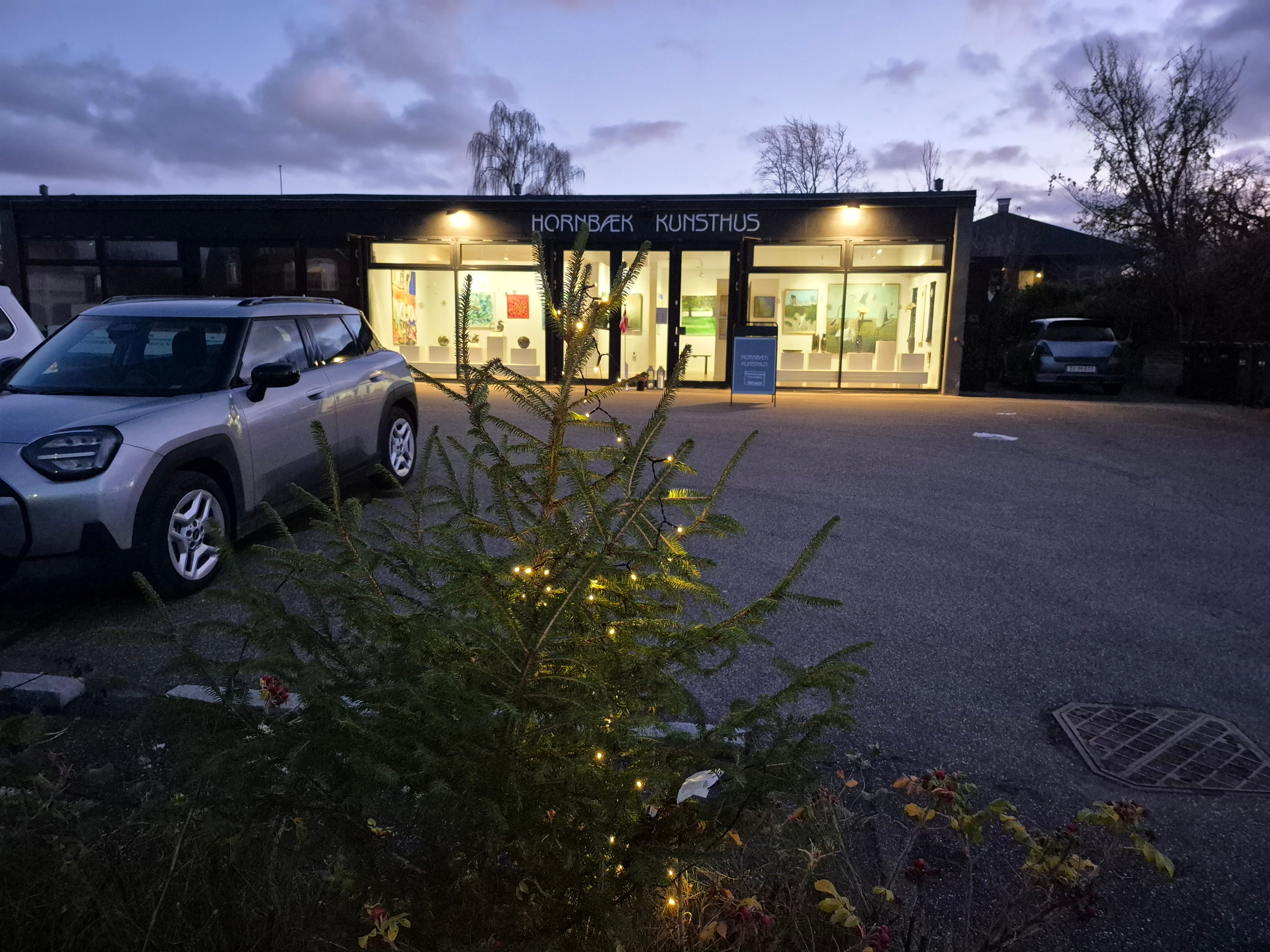 Juletræ og julelys på plads